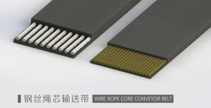 Wire rope core conveyor belt